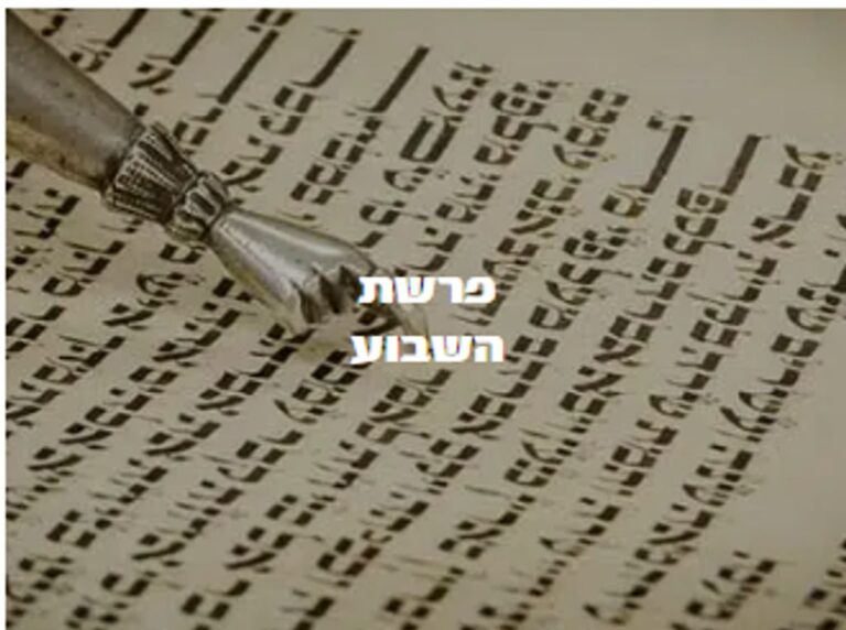 פרשת השבוע